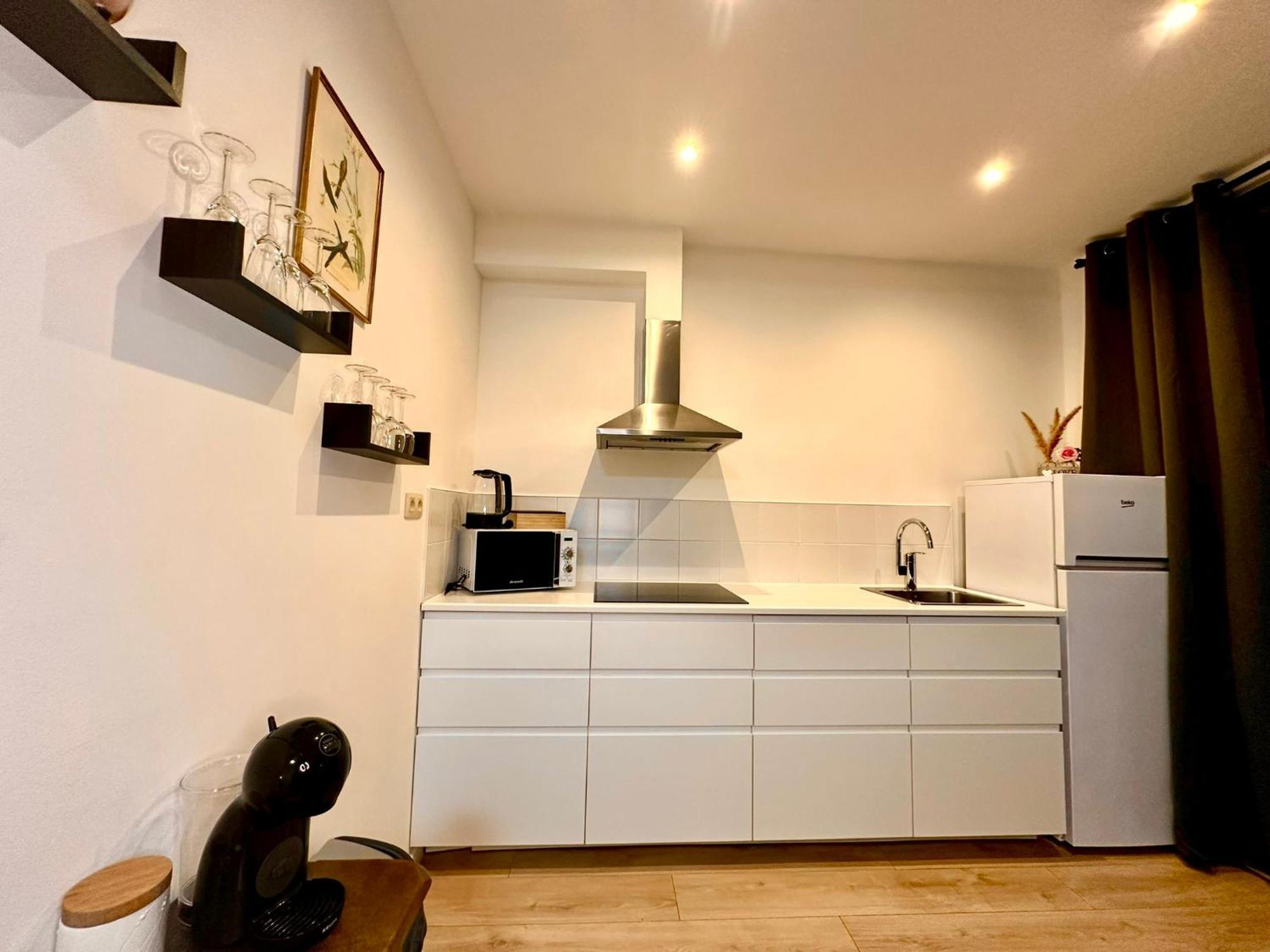 Luxury Suites Centrum By Rikas Hotels Anversa Esterno foto